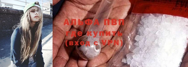 сатива Абаза