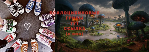 сатива Абаза