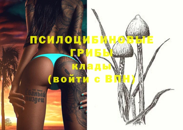 эйфоретик Абинск