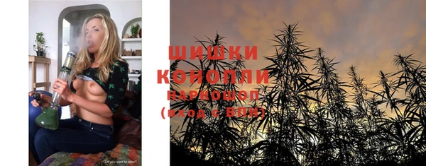 сатива Абаза